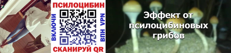 mega tor  Боровск  Галлюциногенные грибы ЛСД 
