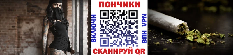 Бошки Шишки планчик  Боровск 